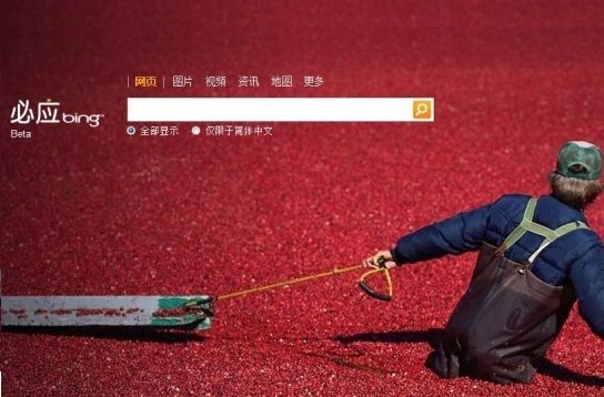 Bing arama motoru Çin’ de yasaklandı Bing arama motoru Çin’ de yasaklandı