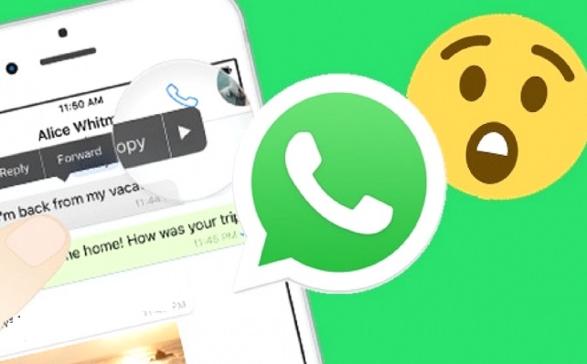 WhatsApp uzgunuz bu medya dosyasi 2