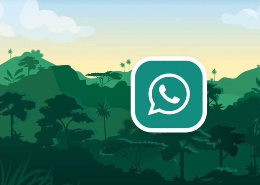 WhatsApp mesaj gönderilemedi hatası WhatsApp mesaj gönderilemedi hatası