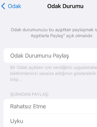 iPhone Odak modu nedir 2